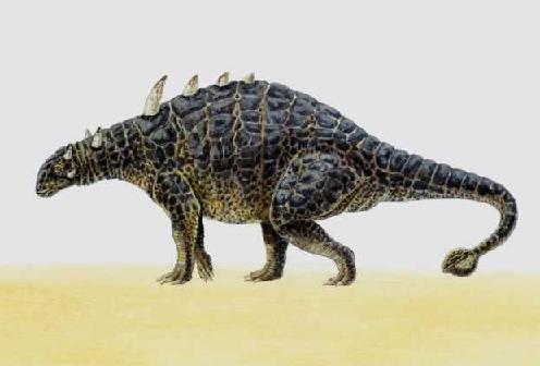 Ankylosaurus picture 3